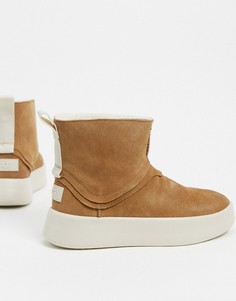 Классические ботинки каштанового цвета UGG-Светло-коричневый