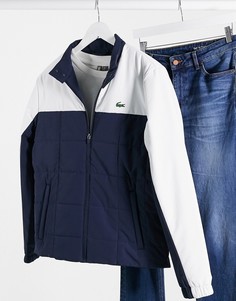 Легкая стеганая куртка Lacoste-Темно-синий