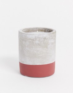 Свеча с ароматом клюквы и шампанского Rose 99 г URBAN-Бесцветный Paddywax