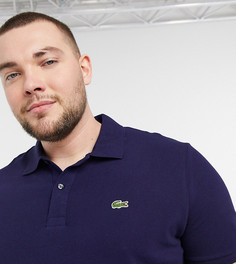 Поло из пике темно-синего цвета с логотипом Lacoste-Темно-синий