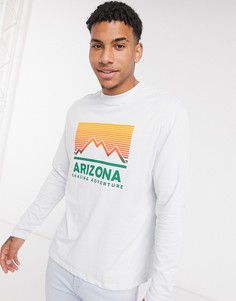 Свободный лонгслив из органического хлопка с принтом ASOS DESIGN-Синий