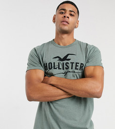 Футболка оливкового цвета с крупным логотипом Hollister-Зеленый