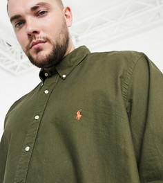 Оксфордская рубашка оливкового цвета Polo Ralph Lauren Big & Tall-Зеленый