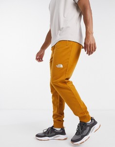 Коричневые брюки The North Face NSE-Коричневый
