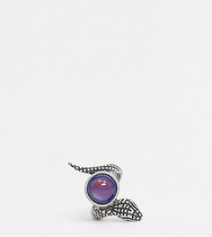 Серебристое кольцо в виде змеи Reclaimed Vintage Inspired-Серебряный