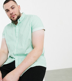 Оксфордская рубашка с воротником на пуговицах ASOS DESIGN Plus-Зеленый
