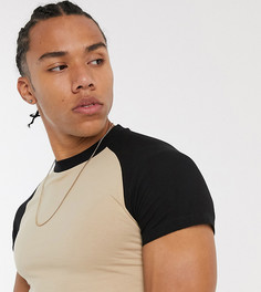 Бежевая облегающая футболка с контрастными черными рукавами реглан ASOS DESIGN Tall-Бежевый