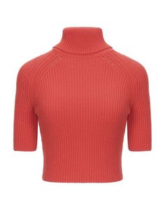 Водолазки Elisabetta Franchi