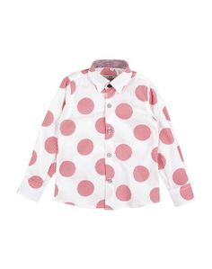 Pубашка Neill Katter