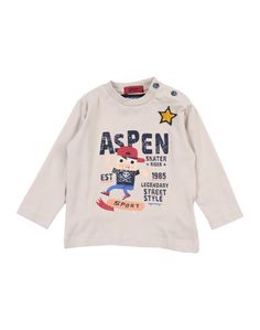 Футболка Aspen Polo Club