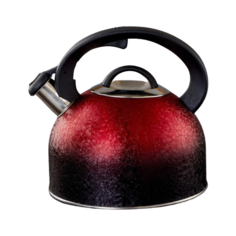 Доляна Чайник со свистком Snow 3 л, красный/черный