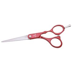 Прямые ножницы DEWAL Colour Step M31955-RD 5.5", серебристый/красный