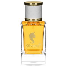 Парфюмерная вода Silvana W421 Tom Noir, 50 мл