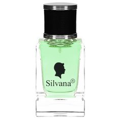 Парфюмерная вода Silvana M828 Gvncy Homme, 50 мл