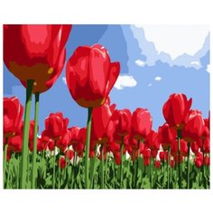 Рыжий кот картина по номерам "Поле тюльпанов" 40х50 см (E025)