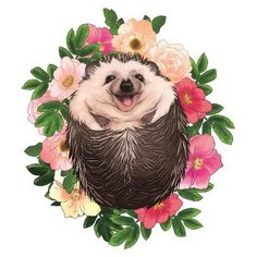 Рыжий кот Картина по номерам "Милый ёжик" 30х40 см (Х-3717)