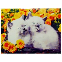 Рыжий кот Картина по номерам "Котята в цветах" 40х50 см (Х-9001)