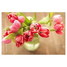 Рыжий кот Картина по номерам "Букет розовых тюльпанов" 40х50 см (Х-3578)