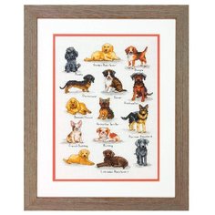 Dimensions Набор для вышивания крестиком Породы собак 25,4 x 35,5 см (70-35353)