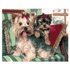 Paintboy Картина по номерам "Йоркширские терьеры" 40x50 см (GX8907)