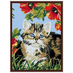 Белоснежка Картина по номерам "Котенок в цветах" 30х40 см (009-CE)