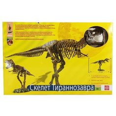 Набор для раскопок Edu Toys Скелет Тираннозавра