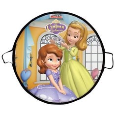 Ледянка 1 TOY София (Т58473) зеленый/фиолетовый/оранжевый