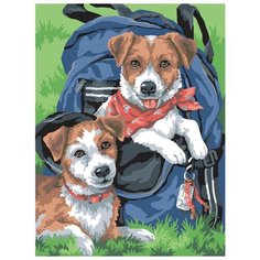 Color Kit Картина по номерам "В дорогу!" 30х40 см (CE103)