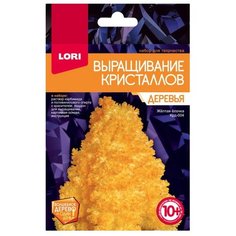 Набор для исследований LORI Выращивание кристаллов. Деревья оранжевый