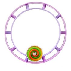 Развивающая игрушка Guang Sheng Бегущее колесо Радуга фиолетовый/зеленый