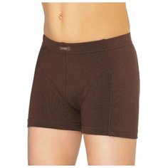 Трусы Lowry размер L, коричневый