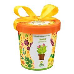 Набор для выращивания Happy Plant Горшок подарочный Табак душистый