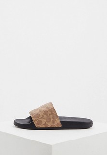 Сланцы Coach