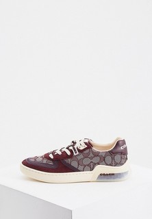 Кеды Coach