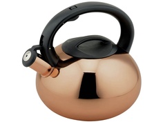 Чайник Bekker Premium 2.5L BK-S537
