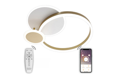 Светильник потолочный Led Lamps Natali Kovaltseva