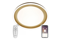 Светильник потолочный Led Lamps Natali Kovaltseva