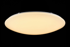 Светильник потолочный LED FR6999 Hoff