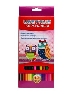 Карандаши цветные "Совы", 12 цветов Проф Пресс