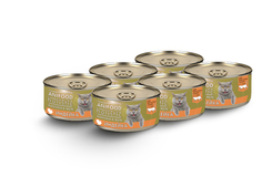 Влажный корм для кошек ANIFOOD HOLISTIC , индейка ломтики в желе 6шт, 100г