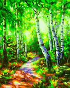 Картина по номерам Schipper "Березовый лес", 24x30