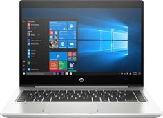 Ноутбук HP Probook 445R G6 (7DD90EA) Pike Silver