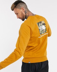 Коричневый свитшот с круглым вырезом и рукавами реглан The North Face