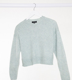 Зеленый джемпер с круглым вырезом New Look Petite