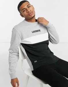 Серый свитшот в стиле колор-блок Lacoste