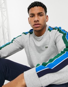 Серый свитшот с круглым вырезом Lacoste