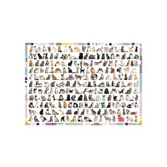 Пазл Treft 208 кошек, 1000 элементов Trefl