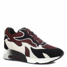Кроссовки ASH LOTUS FW20 бордовый