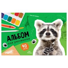 Альбом для рисования ArtSpace Животные. Cool raccoon 29.7 х 21 см (A4), 100 г/м², 40 л.