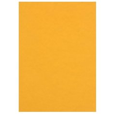 Цветной картон тонированный 200 г/м2 Лилия Холдинг, A4, 50 л.